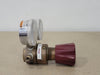 PROSTAR Gas Regulator PRS400253, 3000 psi In, 500 psi Out