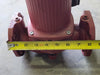 GRUNDFOS 3-Speed Circulator Pump UPS50-60F