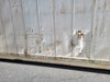 40 ft Non-Working Refrigerated Shipping Container - TRLU1666745