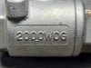 Plug Grout with 1/2" 2000WOG Stainless Steel Ball Valve