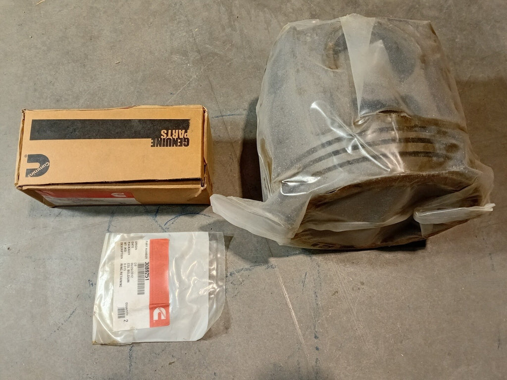 CUMMINS Engine Piston Kit 4955326 (3640796, 3089251, 4001416)