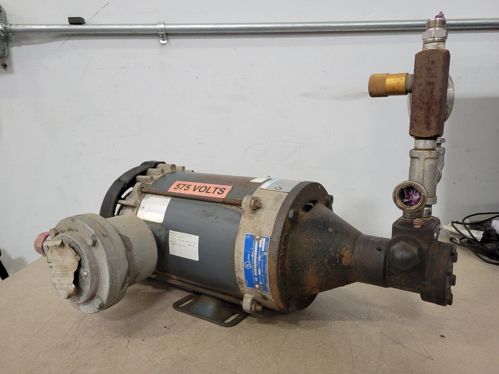 VIKING PUMP 0.5 hp Gear Pump F456 w/ Electric Motor and Fittings