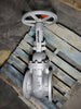 NEWCO 8" Class 150 Gate Valve 11F-CB2