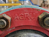 BERKELEY Vertical Multistage Centrifugal Pumps Skid BVMI33-2-1-204