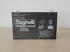BEGHELLI 6V, 12Ah Rechargeable Sealed Lead Acid Battery 500000008