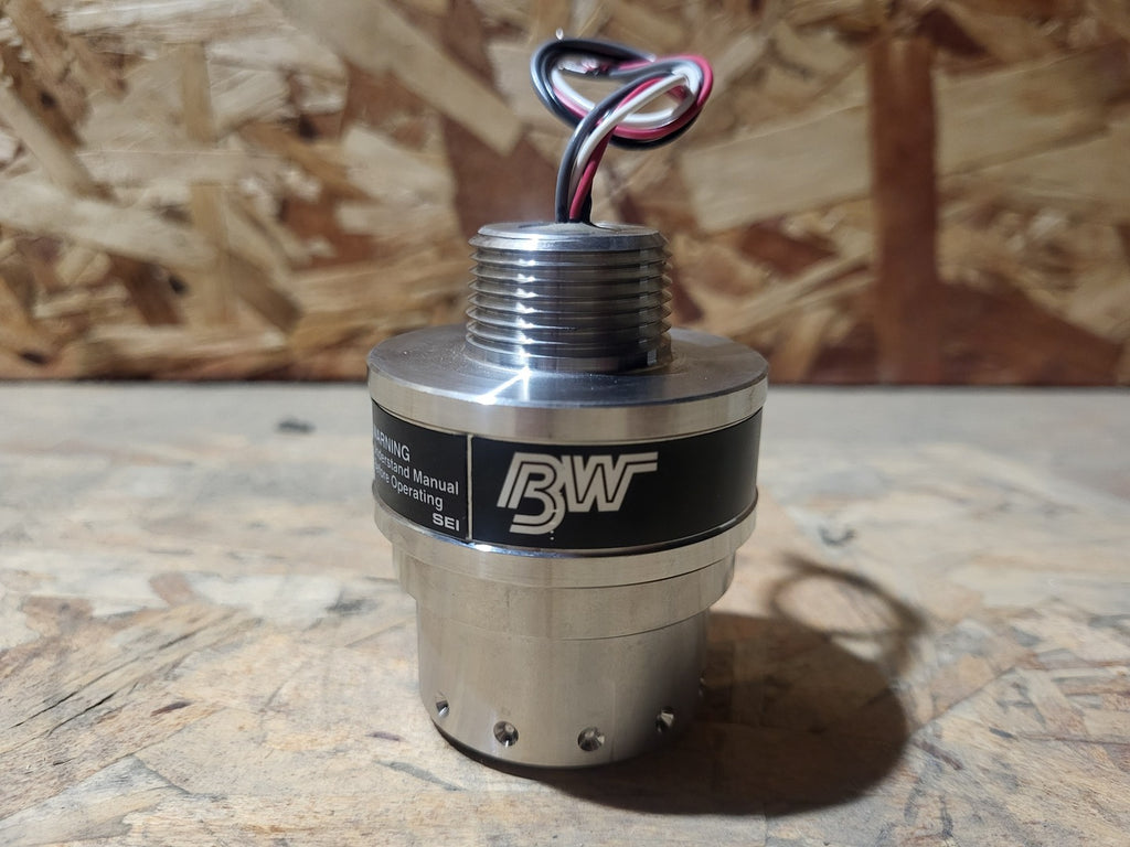 BW Gas Point H2S Stainless Steel Sensor Assembly SS-RH02