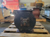 REES BLOWER PIPE MFG. CO. Rotary Airlock Valve Feeder, Cast Iron, Square Inlet, Chain Drive - Serial 11852
