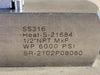 PANAM ENGINEERS 1/2" NPT Gauge Root Valve PGRV-H-S-88-MF-SG