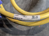 TURCK Actuator and Sensor Cable Ext 3 Pin 1.8m RSM RKM 36-1.4M