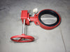 BRAY 8in. Butterfly Valve, Manual Actuation, ISO 9001