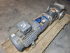 GOULDS 15 hp e-SV Series Vertical Multi-Stage Pump 33SV30NK4F20