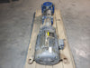 GOULDS 30 hp e-SV Series Vertical Multi-Stage Pump 46SV40GN4F20
