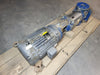 GOULDS 30 hp e-SV Series Vertical Multi-Stage Pump 46SV40GN4F20