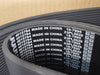 CUMMINS Ribbed V-Belt 4015784