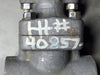 NEWAY 1 1/2" Class 800 Gate Valve 1.5G8NA8-NC