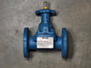 ITT 1" Dia-Flo Weir Diaphragm Valve