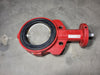 BRAY 4" Butterfly Valve Series 100