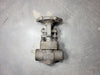 NEWCO 1" Class 800 Gate Valve 18S-FS2-NC-NP