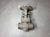 NEWCO 1" Class 800 Gate Valve 18S-FS2-NC-NP