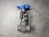 VELAN 3/4" Class 800 Gate Valve S-2054W-02TS
