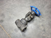 VELAN 3/4" Class 800 Gate Valve S-2054W-02TS