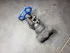 VELAN 3/4" Class 800 Gate Valve S-2054W-02TS