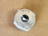 BALDWIN Hydraulic Filter Elements PT9481-MPG
