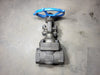 VELAN 2" Class 800 Gate Valve W-2054B-02TY