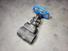 VELAN 2" Class 800 Gate Valve W-2054B-02TY