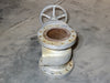 NEWAY 8" Class 300 Gate Valve 8G3RA8-000
