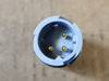 CUMMINS Pressure Sensor 4954405