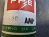 ECONOMY 150 Amp, 250 Volt Renewable FPE Fuse 