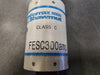 FERRAZ SHAWMUT 300 Amp 600V Class C Fuse FESC300