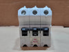 FEDERAL PIONEER 20 Amp, 3 Pole, 240 Volts Circuit Breaker NB3P20