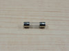 Glass Fuse F100L250V
