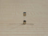 Glass Fuse F100L250V