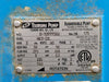 TSURUMI NK3-22L Electric Submersible Pump 3" Discharge, 3 hp
