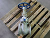 DSI 6" Class 150 Gate Valve B16.34