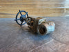DONG KANG 1" Class 800 Globe Valve B16.34