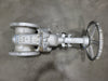 DHV 6" Class 150 Gate Valve B16.34