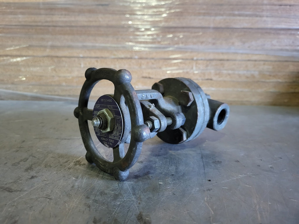 BONNEY FORGE 1/2" Class 800 Gate Valve B16.34