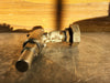 FARRIS 1", Relief Valve, 27CA33-S20/S4