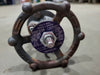 BONNEY FORGE 1/2" Class 800 Gate Valve B16.34