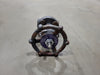 BONNEY FORGE 1/2" Class 800 Gate Valve B16.34