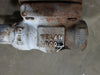 VELAN 3/4" Class 800 Gate Valve B16.34