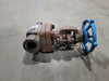 VELAN 3/4" Class 800 Gate Valve B16.34