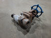 VELAN 3/4" Class 800 Gate Valve B16.34