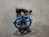VELAN 3/4" Class 800 Gate Valve B16.34