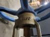 DSI VALVES 4" Class 150 Gate Valve B16.34