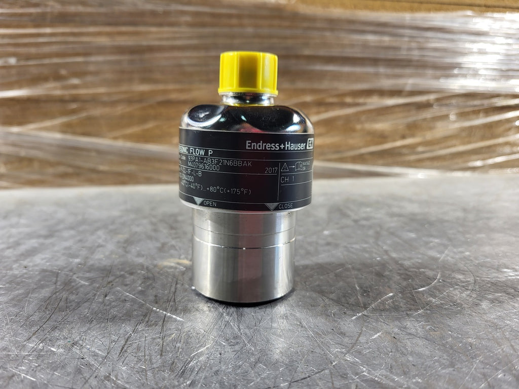ENDRESS+HAUSER Prosonic Flow P Sensor 93PA1-AB3F21N6BBAK